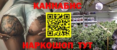 мдпв Обь