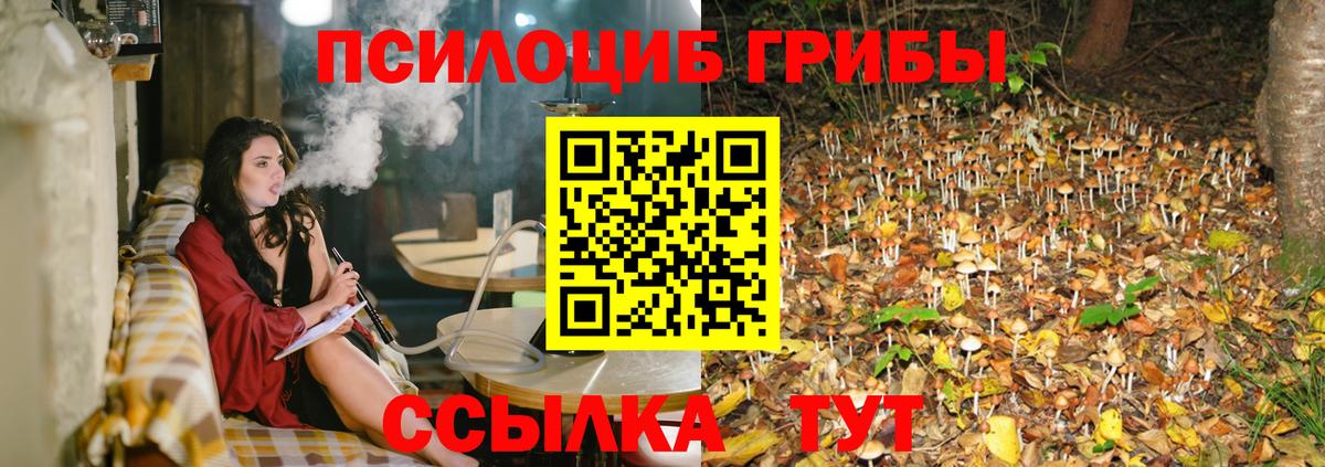 Псилоцибиновые грибы ЛСД Озёры
